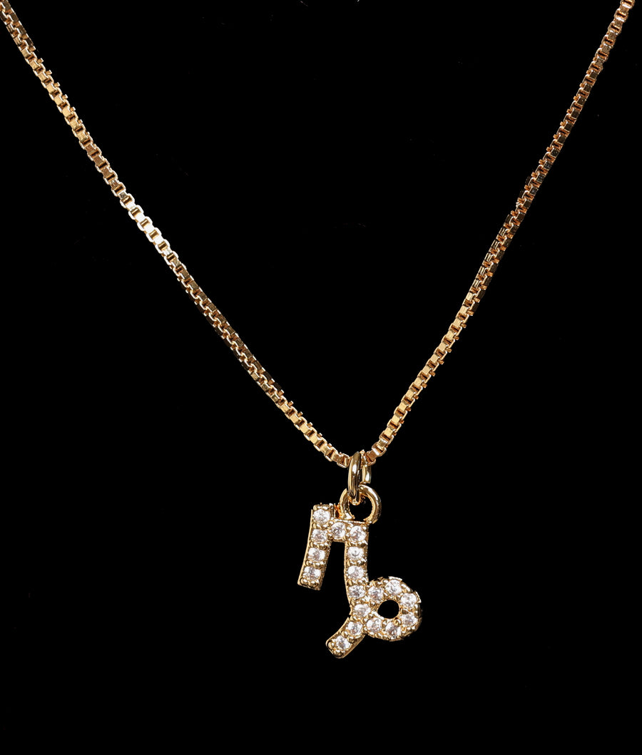 Capricorn Necklace